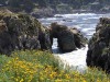 Pt. Lobos, Carmel Valley CA